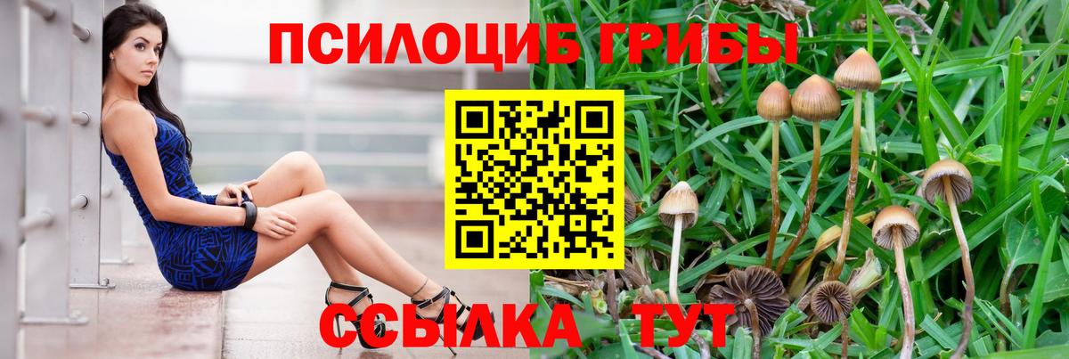 Кувандык  Галлюциногенные грибы MAGIC MUSHROOMS  Вход с VPN 