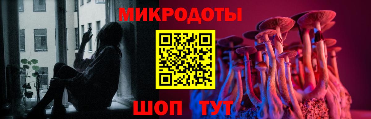 Галлюциногенные грибы мицелий Кувандык
